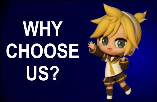 why choose us